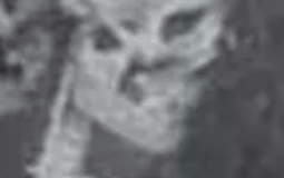 battle of the idiots